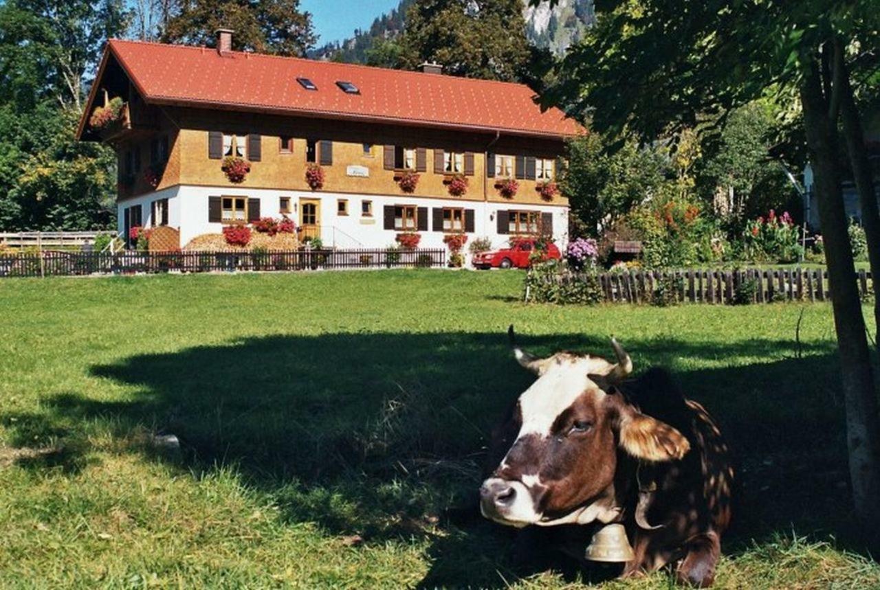 Gaestehaus Hedwig Bad Hindelang Exteriör bild